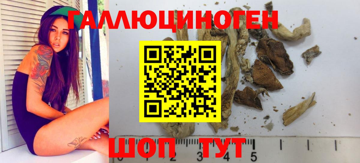 Галлюциногенные грибы MAGIC MUSHROOMS Кудрово