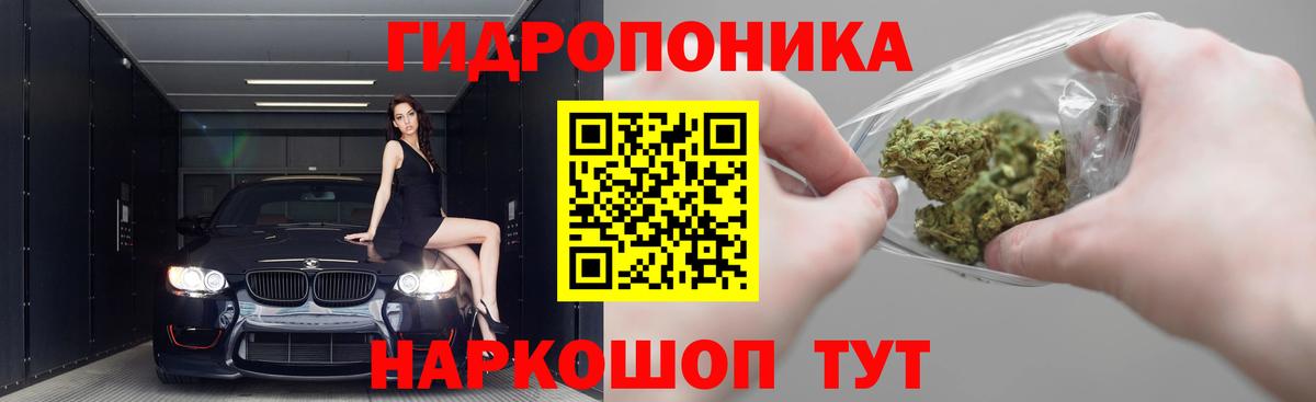 Шишки марихуана семена  Вход с VPN  Марихуана семена  Бошки Шишки SATIVA & INDICA  Кудрово 